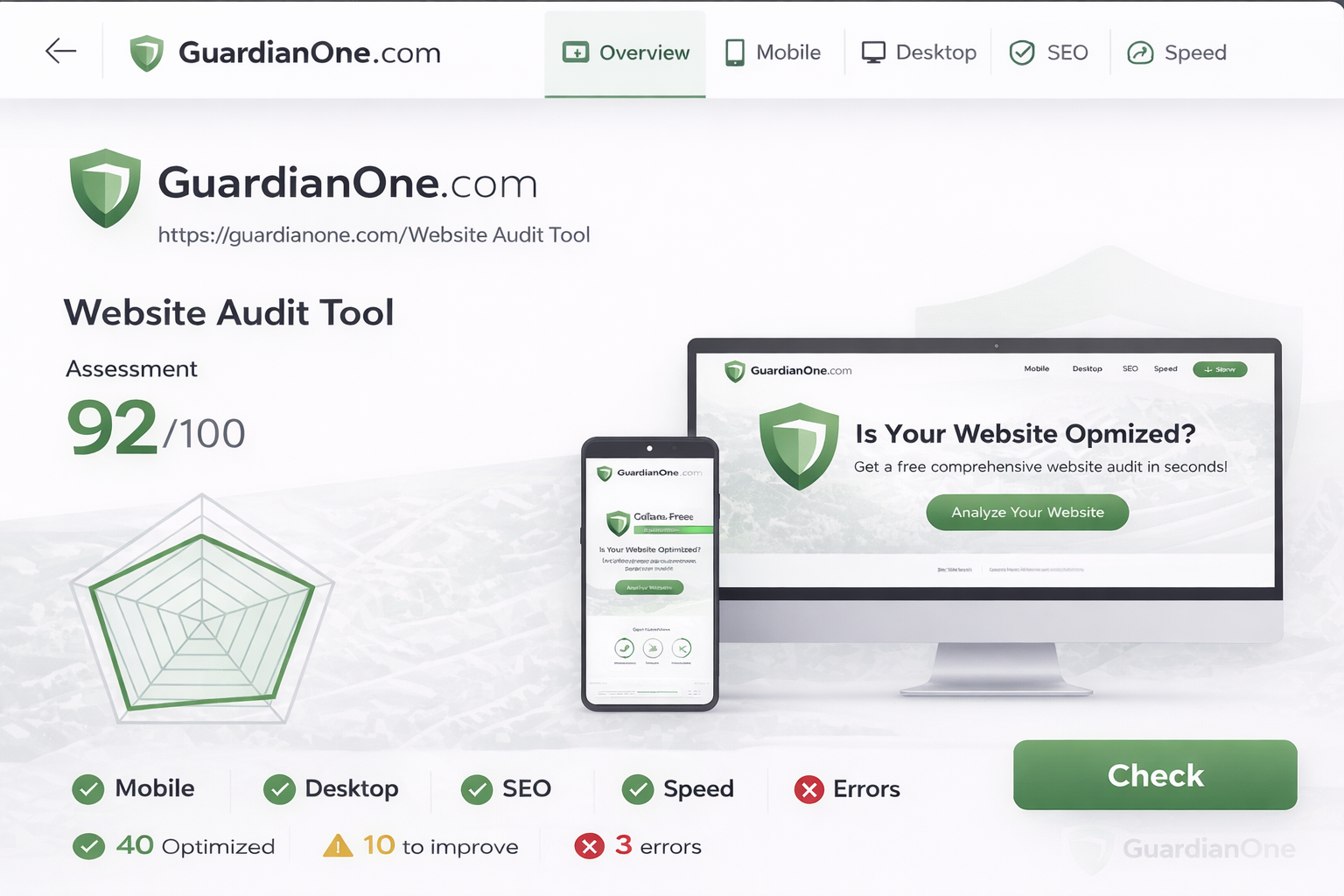 Website Audit